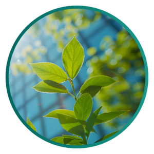 Jan BlogGraphics ClinicalChecklist 04